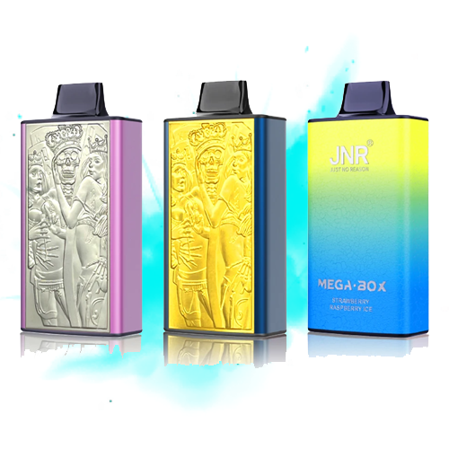 JNR Mega Box 25000 Puffs Engangs Vape (æske med 10 stk)